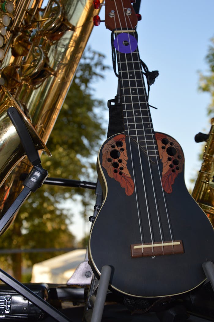 hero-img-02 A colorful ukulele alongside brass instruments like saxophones, displayed outdoors in natural light.