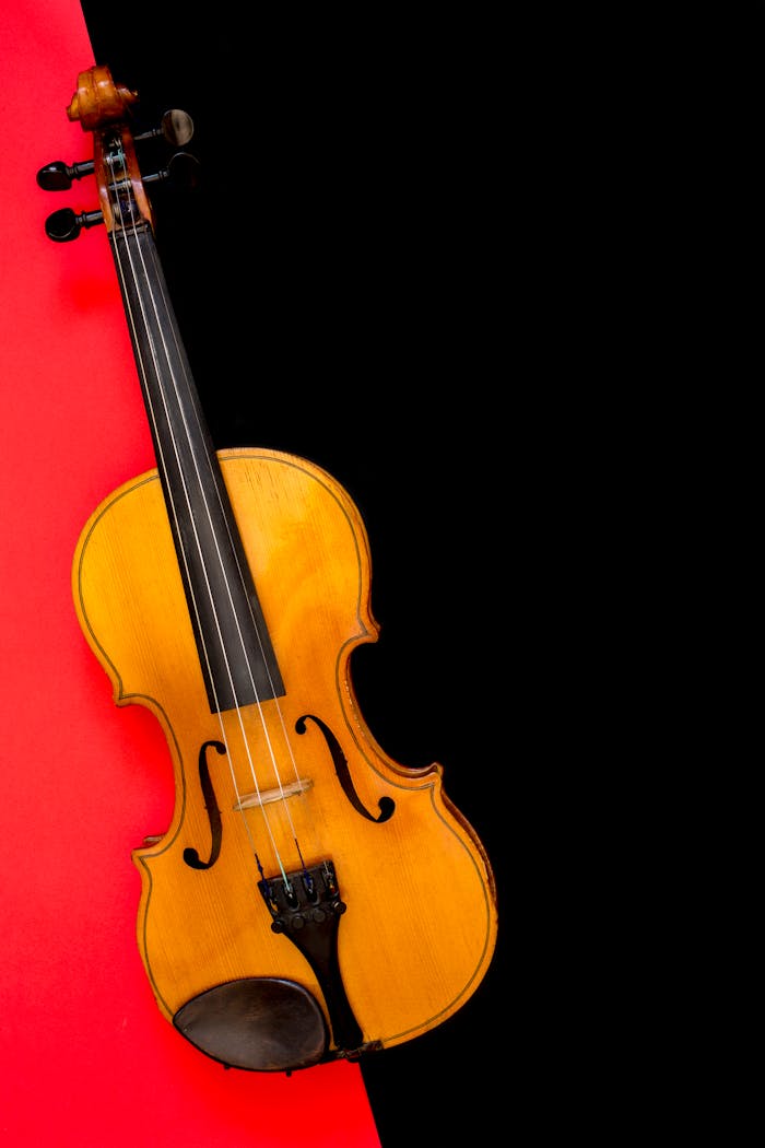 gallery-4 A beautifully crafted violin displayed on a striking red and black background, showcasing its classic design.