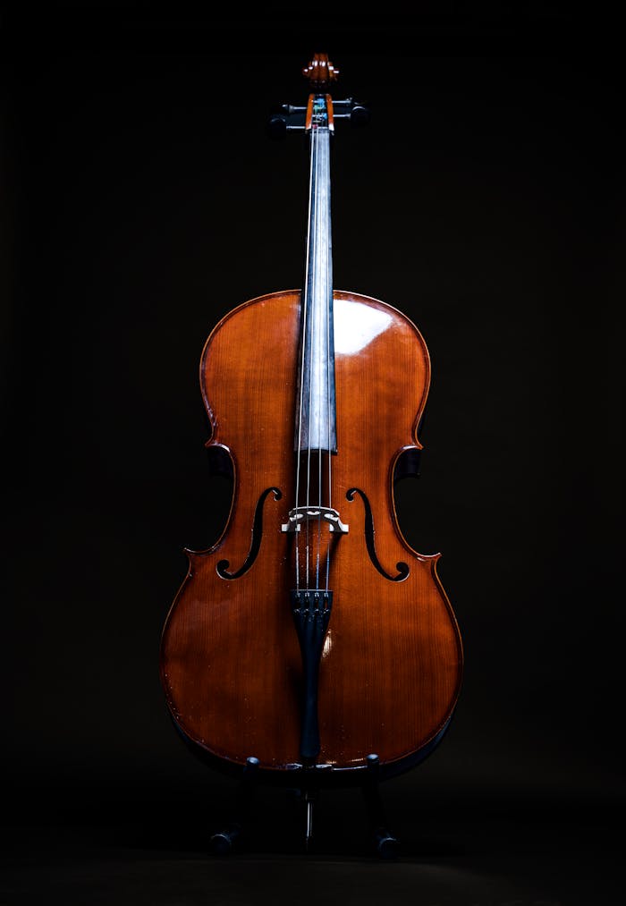 A beautifully crafted cello stands illuminated against a dark backdrop, showcasing its classic design.